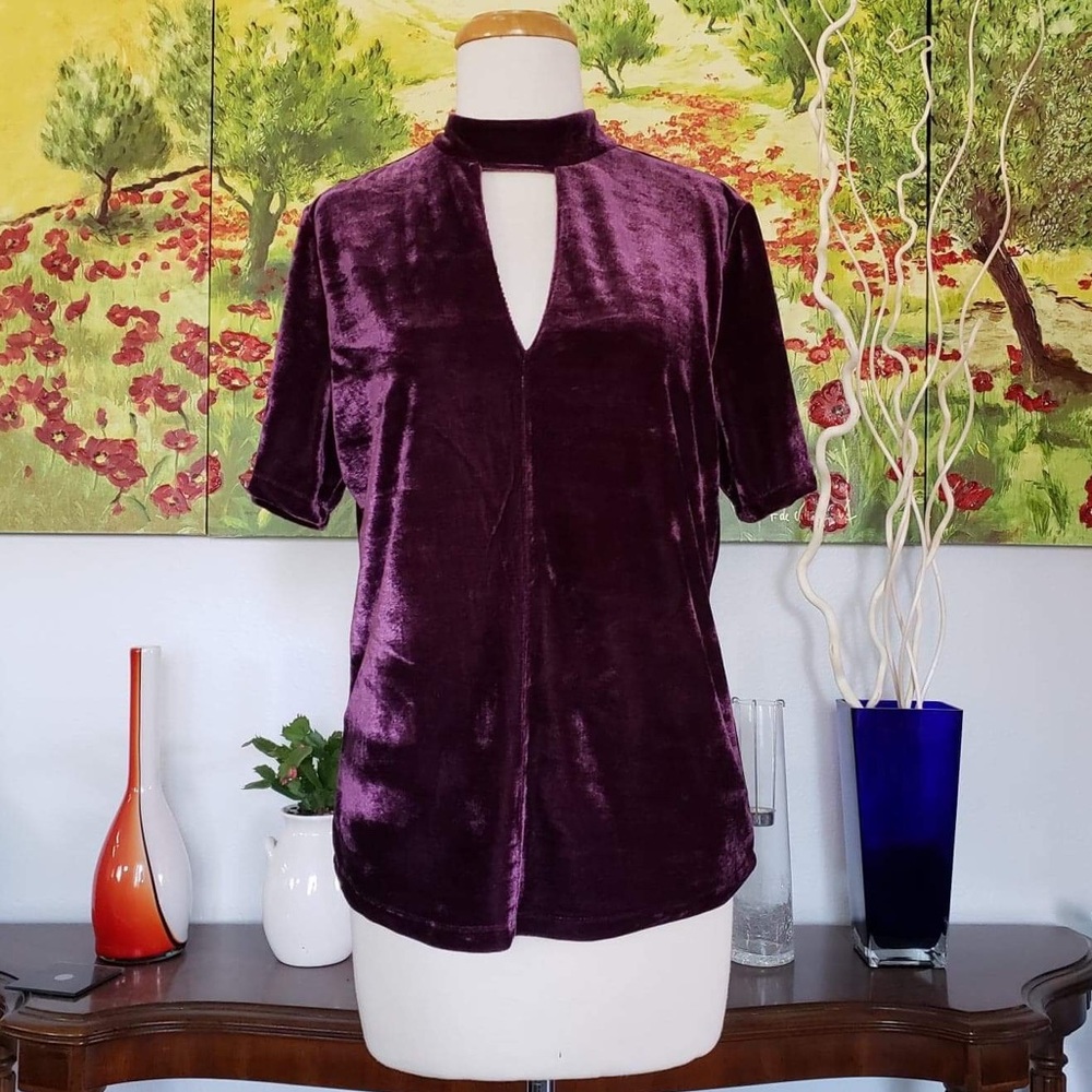 Velvet tops - Picture 1 of 8